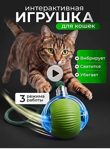 безпроводная мышь: Интерактивная игрушка для кошек - Вибрирует, светится и «убегает» — 1