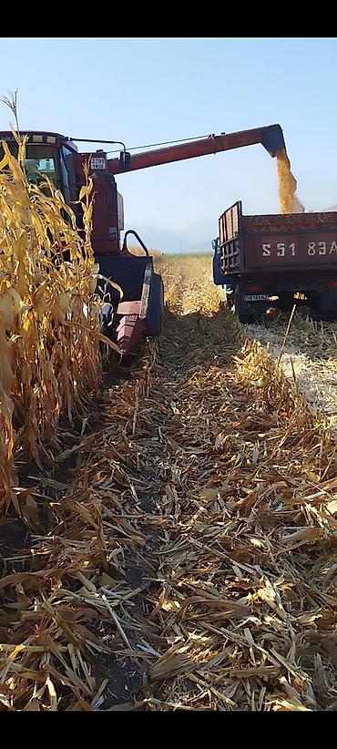 шит приборы: Продаю или меняю очень хороший комбайн Case 2166 с кукурузной жаткой — 2