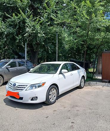мтз 83 1: Toyota Camry: 2009 г. — 1