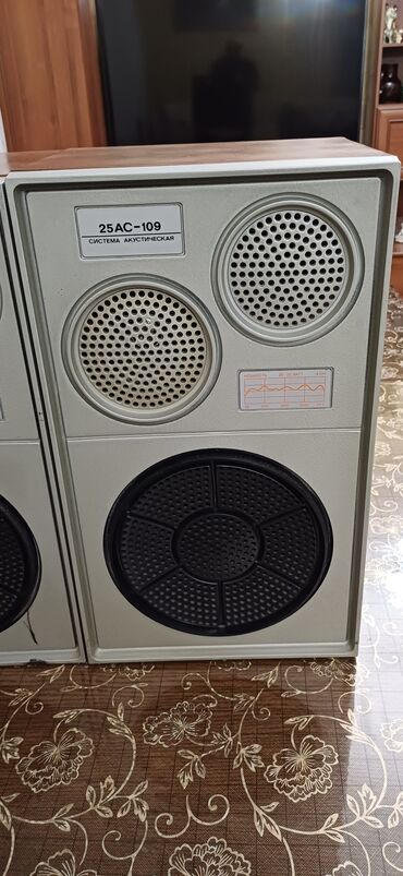 ноутбук бишкек бу: Акустическая система 25АС-109 (пара колонок) - Тип: трехполосные