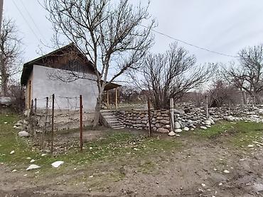 Продажа участков: 6 соток, Красная книга at lalafo.kg — 2 Продажа участков: 6 соток, Красная книга — 2