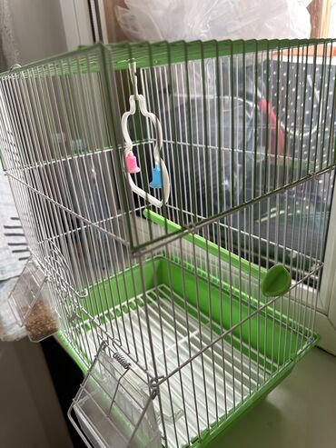 лотки для яиц цена: Сетка для птицы новый купили за 800 с дочке не понравилось цвет