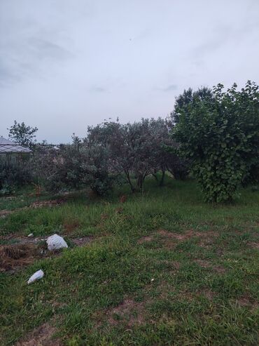 Torpaq sahələrinin satışı: 25 sot, Tikinti, Mülkiyyətçi, Bələdiyyə -da lalafo.az — 11 Torpaq sahələrinin satışı: 25 sot, Tikinti, Mülkiyyətçi, Bələdiyyə — 11