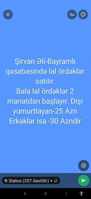 ordək balası və cucə: Dişi, | Lal ördək, Yumurtalıq — 1