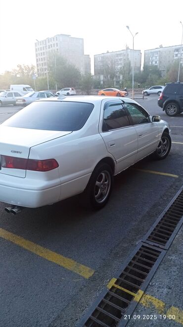 дэу матиз бу бишкек: Toyota Camry: 2001 г., Автомат, Седан