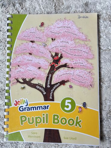 rafet el roman: Ikinci əl “jolly grammar pupil book” kitabı