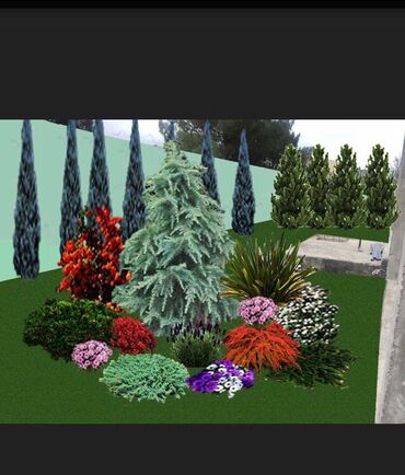 Ağaclar: Dekarativ agaclarin satisi qazon torpaq torf diger gubrelerin satisi — 12