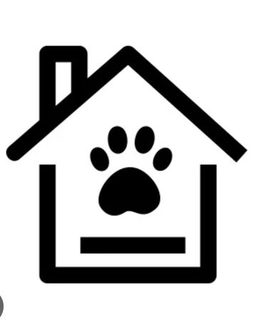 дом собака: Передержка для собак! Зоогостиница!!! Платная передержка для собак