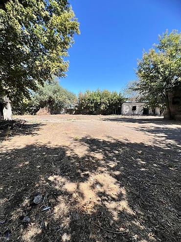 Продажа участков: 250 соток, Красная книга — 10