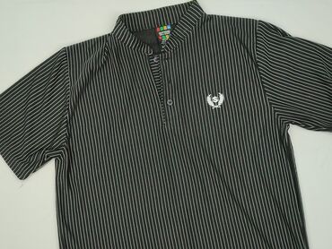 koszulka z dobermanem hm: Polo shirt for men, XL (EU 42), condition - Perfect
