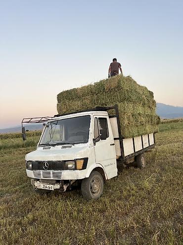 фари опель омега б: Грузовой автомобиль Mercedes-Benz (серия T1/508–609) с — 4