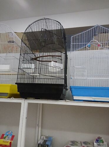 Qəfəslər: Her nov her qiymete qefesler var satisda maraqlamaq isdeyen elaqe -da lalafo.az — 2 Qəfəslər: Her nov her qiymete qefesler var satisda maraqlamaq isdeyen elaqe — 2