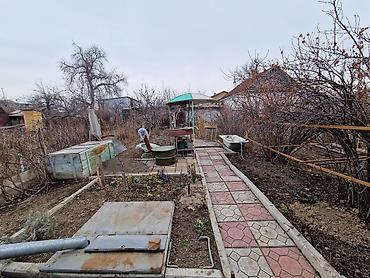 Продажа коттеджей и домов: Продаётся жилой дом с придомовой территорией и двором. Характеристики — 12