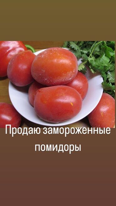 продаю овощи: Помидоры Красные