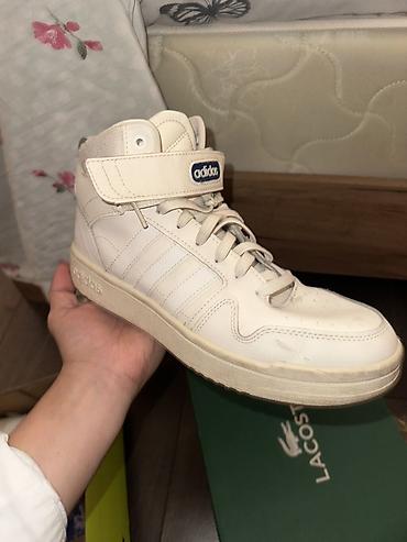 кроссовка для волейбола: Оригинальные кроссовки adidas (мид/хай-топ) - Оригинальный дизайн в — 1