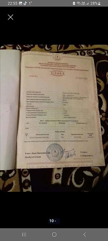 Ayaqqabı baxımı: Öz şəxsi obyektimdi hal hazirda fəaliyətdədi arendadadı ayı 100AZN 4 — 6
