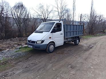 Mercedes-Benz: Mercedes-Benz Спринтер: 2002 г. — 2