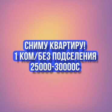 Сниму квартиру: 1 комната, 35 м², С мебелью