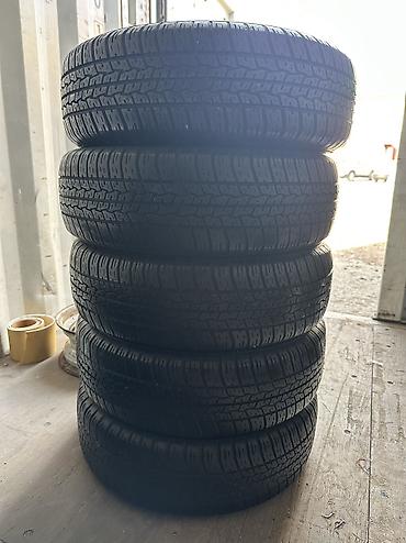 14 lük disk: İşlənmiş Şin Kama 175 / 70 / R 13 — 1