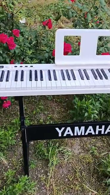 Digər: Piano kursuna başlayanlar üçün,Piano müəllimləri üçün uyğundur — 5
