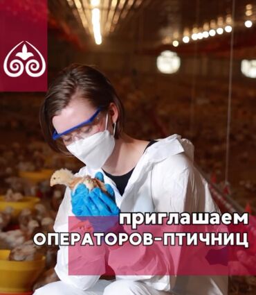 работа для инвалидов на дому: У нас своя птицефабрика 🐥, и сейчас мы расширяемся — ищем