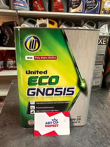 castrol on ev d2: United ECO Gnosis 0W-20 ACEA C5 — синтетическое моторное масло с PAO — 1