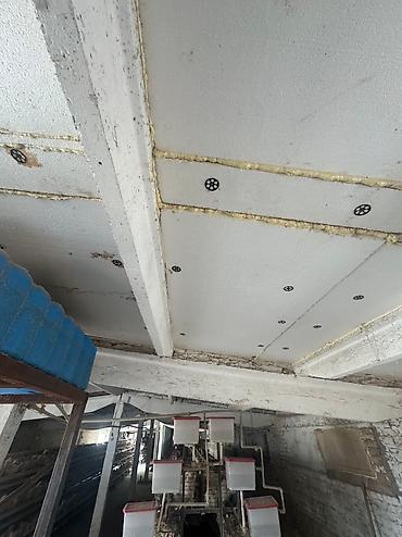 Продажа сельхоз предприятий: Продаю действующий бизнес птицефабрику вместе с курами, полностью — 6