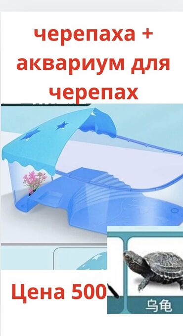 Аквариумы: Аквариум + черепаха по скидке за 500 сом