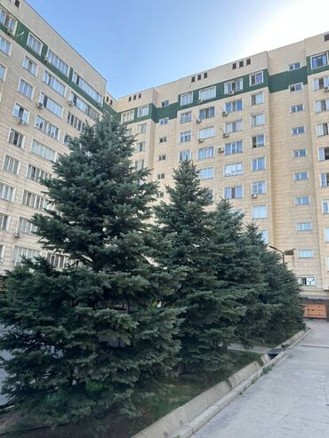 продается 3 комнатная квартира политех: 3 комнаты, 93 м², Элитка, 3 этаж, Евроремонт