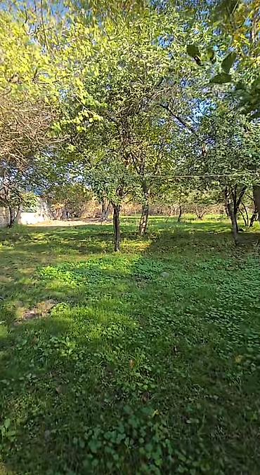 sekide torpaq satilir: 27 sot, Tikinti, Mülkiyyətçi, Kupça (Çıxarış) — 2