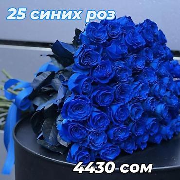 Другие комнатные растения: 🌿 Зелёное счастье для вашего дома 🌿 Комнатные растения и свежие цветы — 13