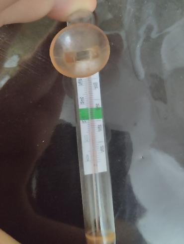 akvarium satilir: Dördbucaq akvarium, 80 l — 6