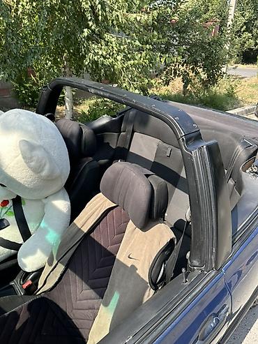 кабриолеты купить: Volkswagen Cabrio: 2001 г., 2 л, Механика, Бензин, Кабриолет — 5