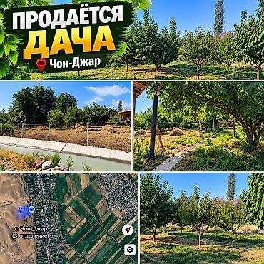 5 соток, Для строительства, Красная книга at lalafo.kg 5 соток, Для строительства, Красная книга