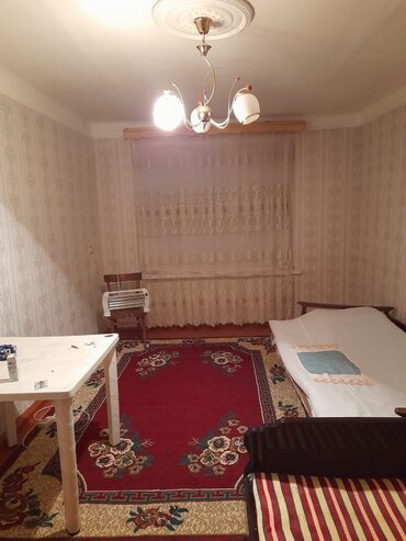 Otaqların uzunmüddətli kirayəsi: 1 otaqlı mənzil/interyer - Geniş, işıqlı otaq: klassik naxışlı divar — 1