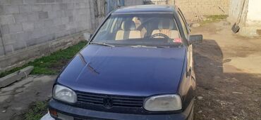 menyayu golf 2: Volkswagen Golf: 1996 г., 1.6 л, Механика, Бензин