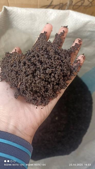 Удобрения и садовая химия: Удобрение Гумус, Самовывоз — 1