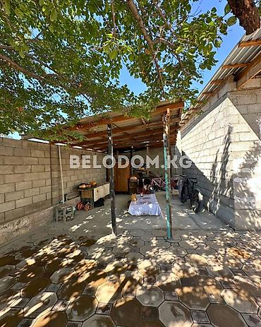Үйлөр: 🏠Продается дом в с. Беловодское 🟡Дом саманный кирпич 🟡 5 - жилых — 3