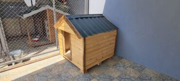 Yuvalar: It və pişik yuvaları — 15