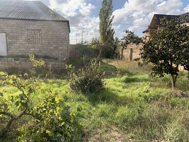 Bağ evlərinin satışı: Bakı, Albalı, 110 kv. m, 3 otaqlı, Hovuzsuz, Kanalizasiya, Qaz, Su -da lalafo.az — 2 Bağ evlərinin satışı: Bakı, Albalı, 110 kv. m, 3 otaqlı, Hovuzsuz, Kanalizasiya, Qaz, Su — 2