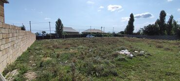 Torpaq sahələrinin satışı: Tikinti, Mülkiyyətçi, Kupça (Çıxarış) — 2