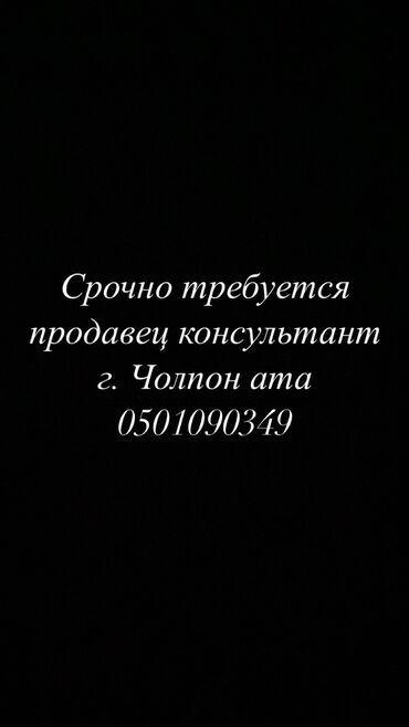 найти работу посудомойки: Сатуучу консультант