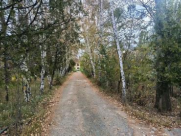 с подселение: 15 соток Для строительства, Электричество — 4