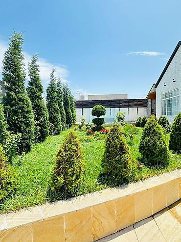 Günlük kirayə evlər: Bağ evi kirayə verilir, Mərdəkan Mərdəkanda yerləşən isti, hovuzlu bağ — 2