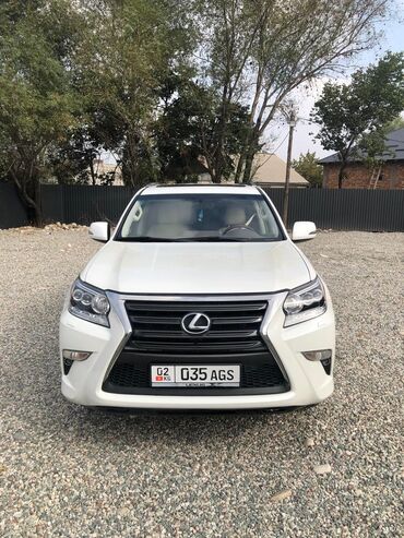 прокачка аммортизаторов: Lexus GX: 2016 г., 4.6 л, Автомат, Бензин, Внедорожник