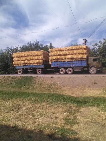 горох для крс: Салома, большие плотные