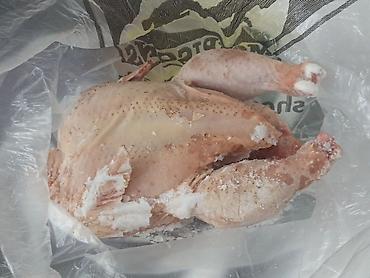 туша курицы: Курица. халал өзүм сойгон, кг 330дан - Вид: тушка куриная без пера — 1