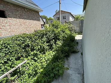 Продажа коттеджей и домов: Продаю дача с. Кокжар, дачное товарищество «Горный ветерок» Уютный — 17