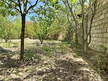 xaçmaz torpag: 6 sot, Tikinti, Kupça (Çıxarış) — 5