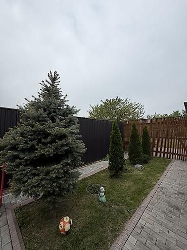 Продажа коттеджей и домов: 🏔️ Дом у гор — место, где хочется жить 📍 Продаётся уютный дом в селе — 8